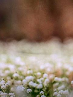 夕方迄空き有り