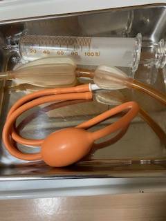 本日の秘密カルテ