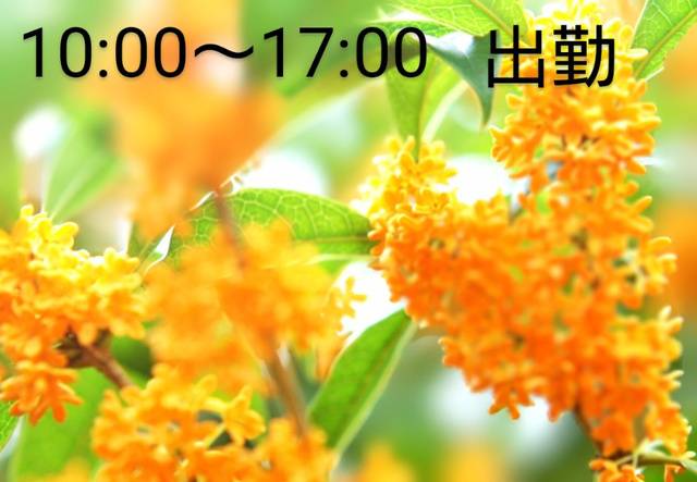 次回出勤24(木)10:00～17:00出勤します。