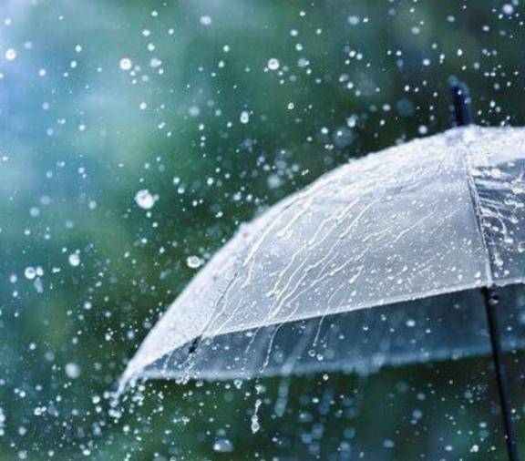 雨　雨…