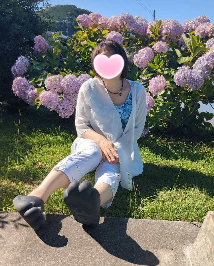 紫陽花の季節ですね(^^)