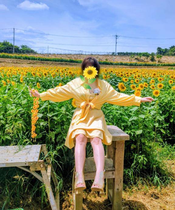 パネルが新しくなりました(^^)