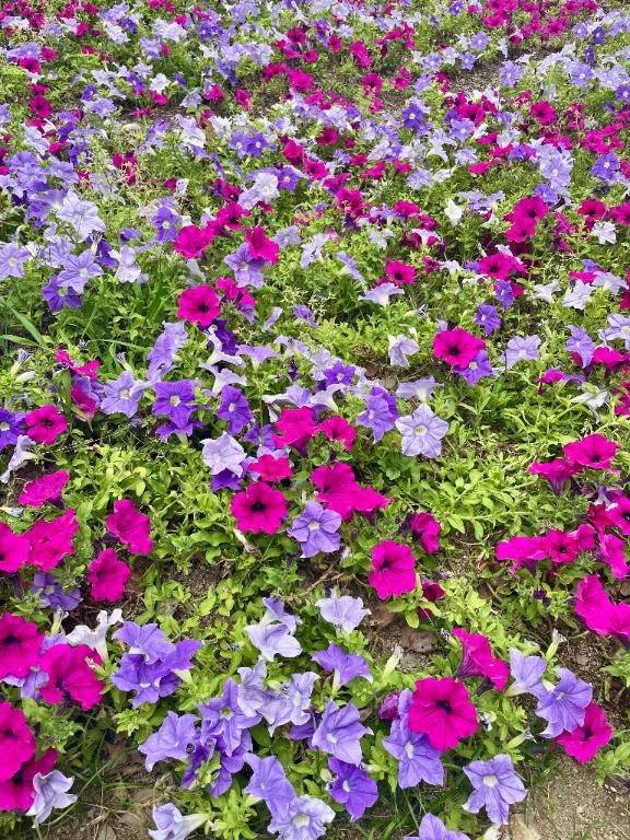90分1枠のみご案内🙆‍♀️