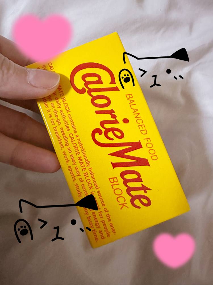懐かしのカロリーメイトお兄さん