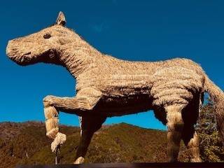 出勤してます✨