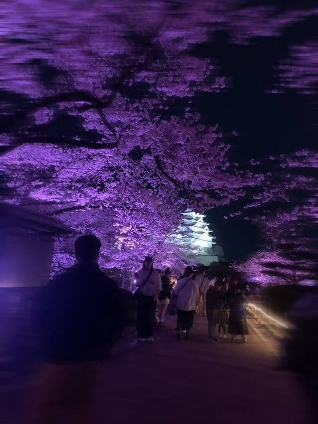 よつば