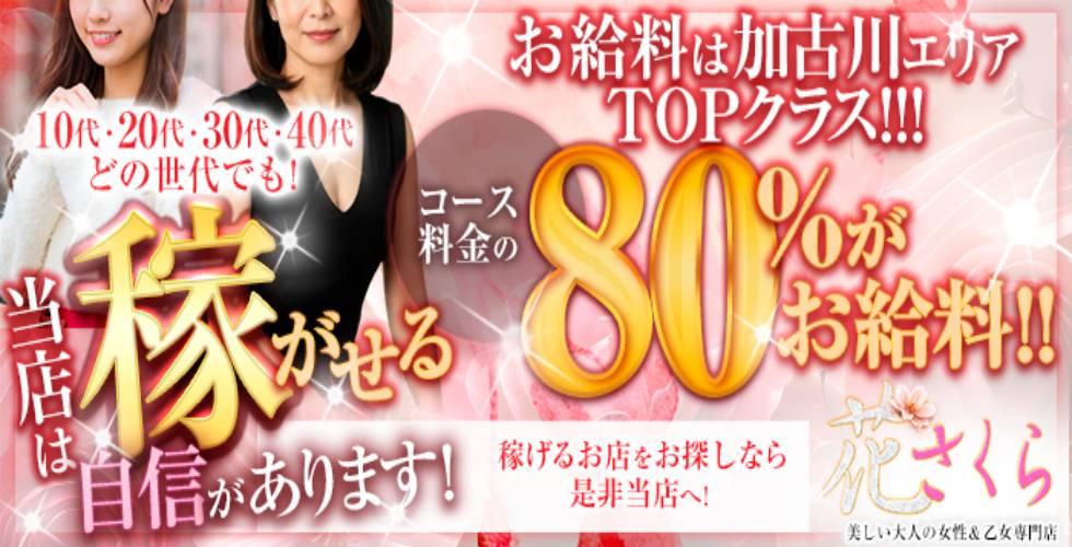 美しい大人の女性＆乙女専門店！花さくら（加古川・高砂方面デリヘル）