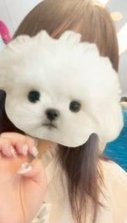待ってるよん♡