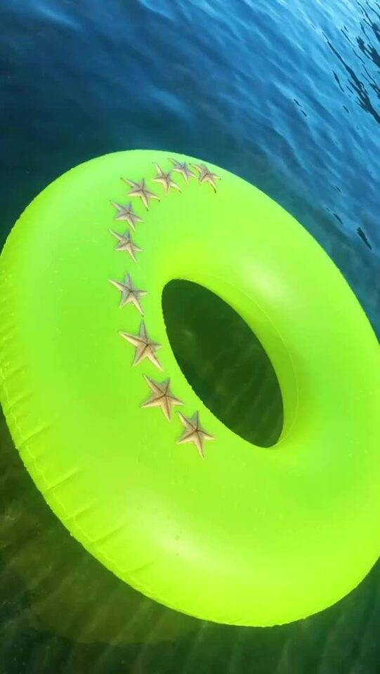 爆笑⭐︎ヒトデひっくり返してヒトデの天日干し⭐︎爆笑
