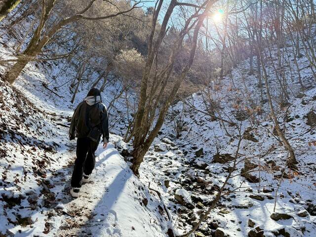 山登り⛰️