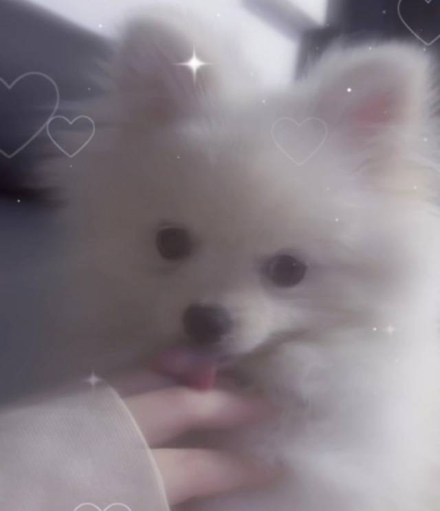 月曜日✨