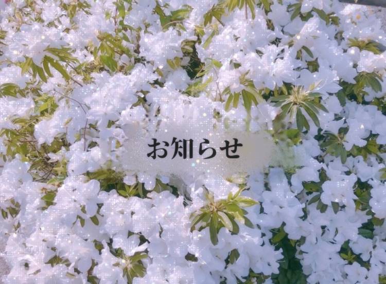 【5日　埋まりました】