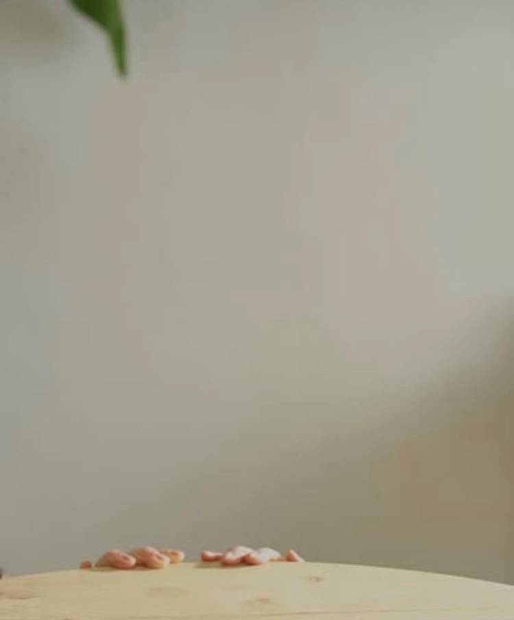 【口コミ　お礼日記】