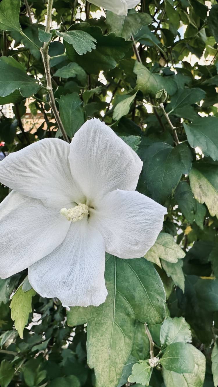 【口コミ　お礼日記】