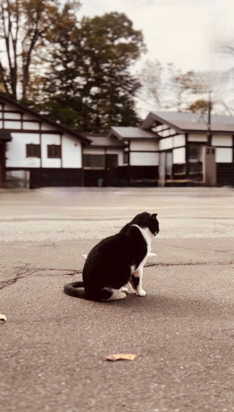 撮らせて