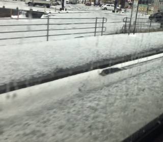 今月の出勤予定です♪