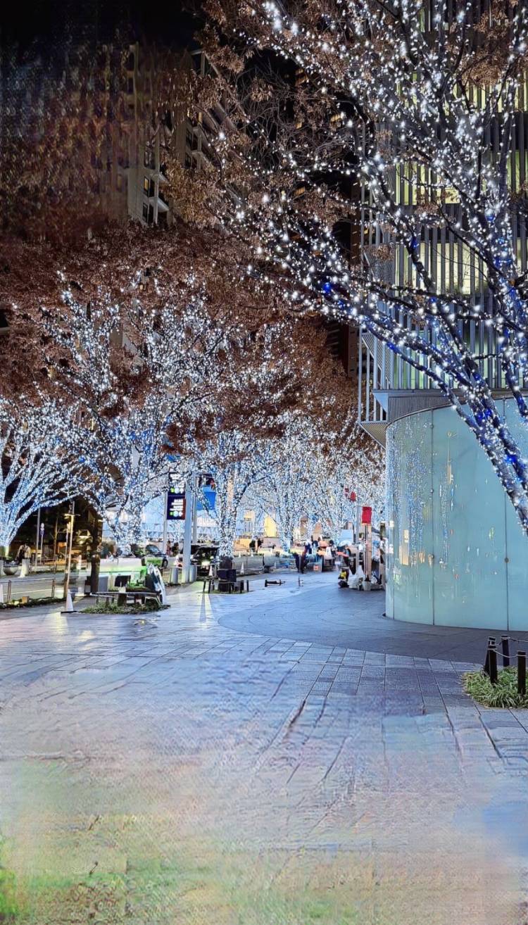 久しぶりの出勤は和歌山　