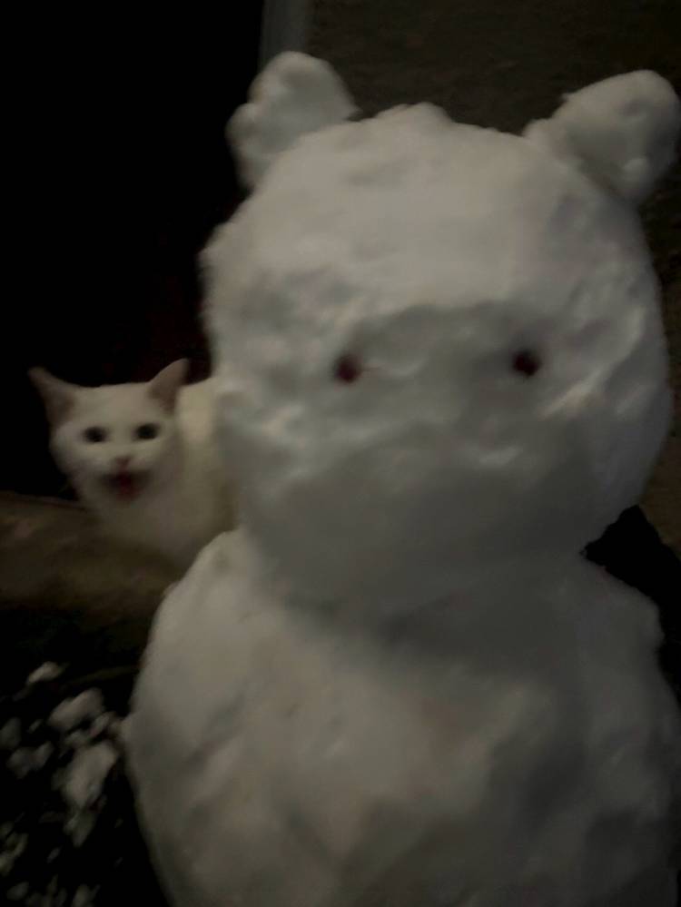 出勤させて頂きます♪