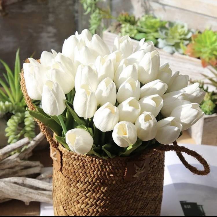 あいら（明石人妻花壇）