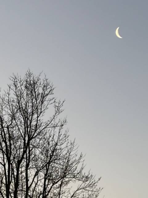 夜に思う「クリアな一日！」