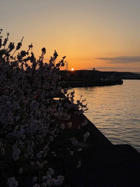 お昼に思う「自然が奏でる美しさ」