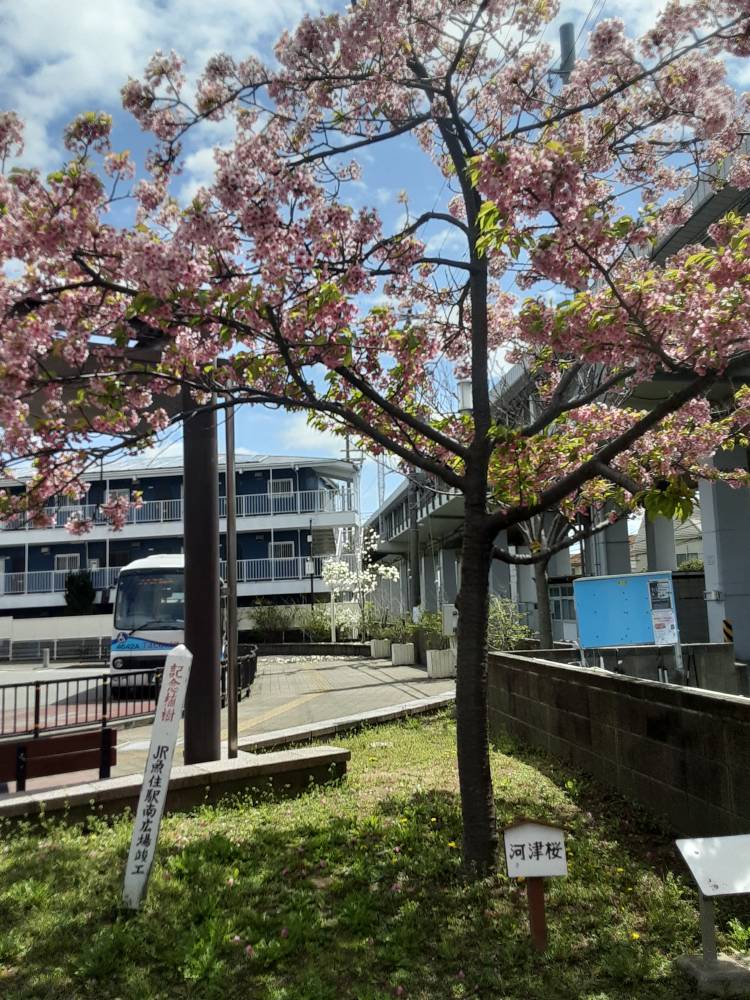 こんにちは(^-^)v