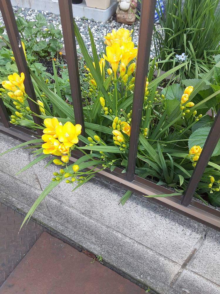 おはようございます(^-^)v