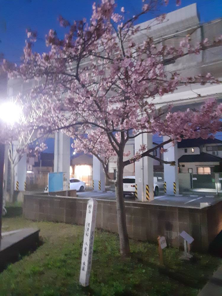 今日は有り難うY様