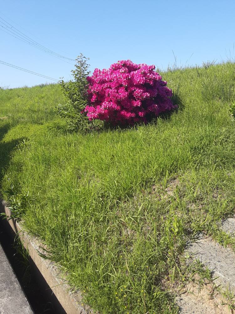 お疲れ様です。