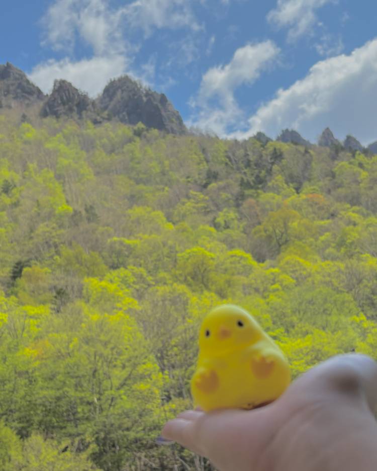 ⭐︎次回出勤⭐︎
