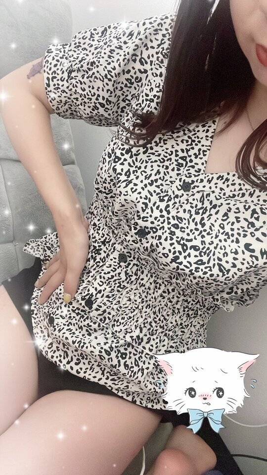 こんばんは(=^ω^=)