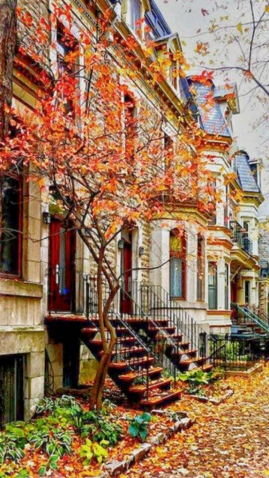 ありがとうございました