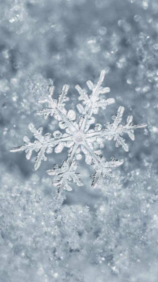 ありがとうございました