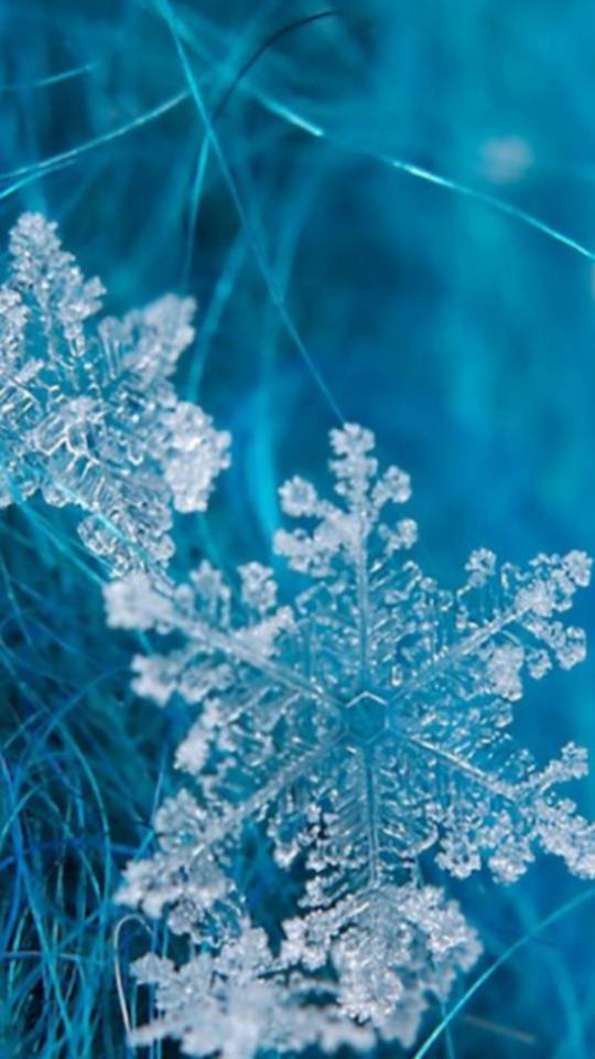 ありがとうございました