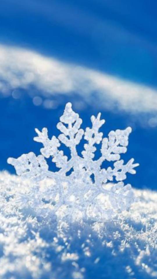 ありがとうございました