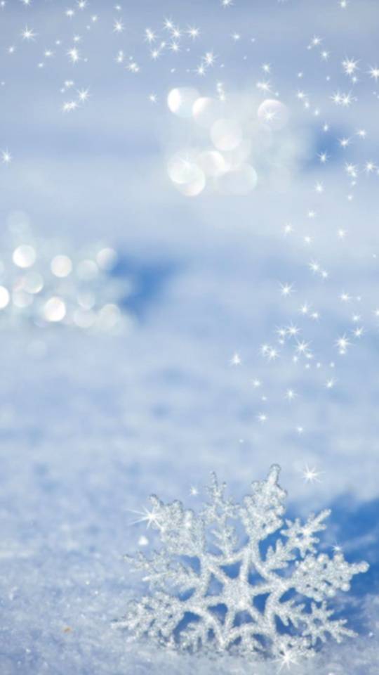 ありがとうございました