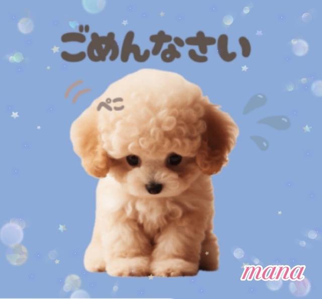 ごめんなさい(´•ω•̥`)