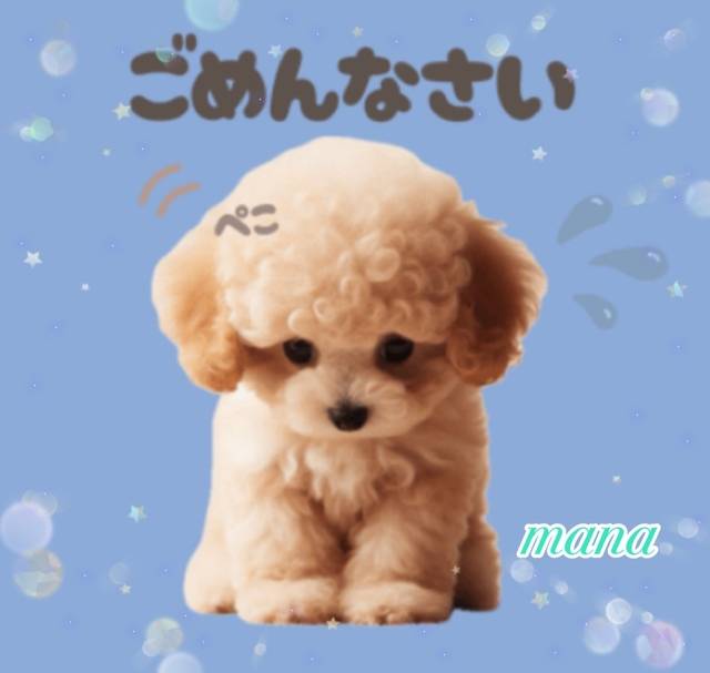 申し訳ありません😣