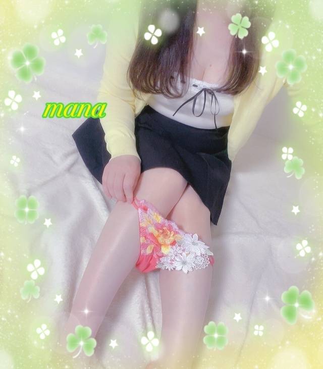 出勤しました🐈