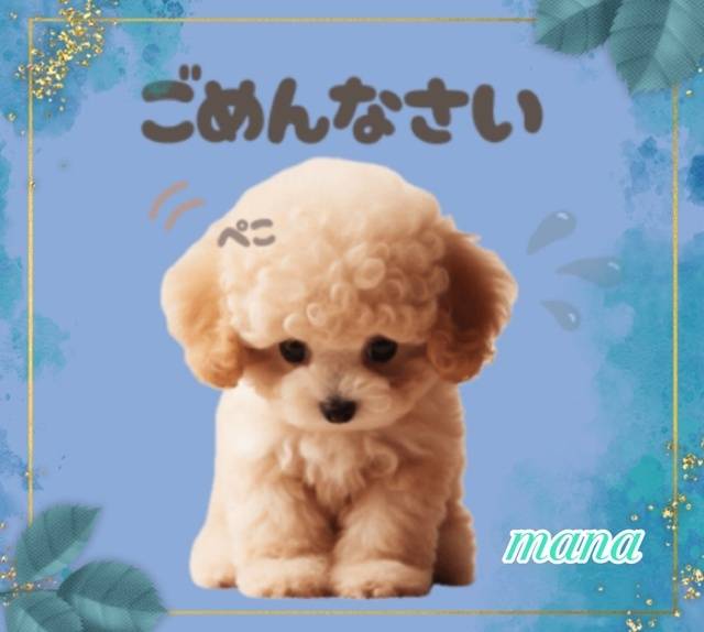 申し訳ありません🙇‍♀️💦