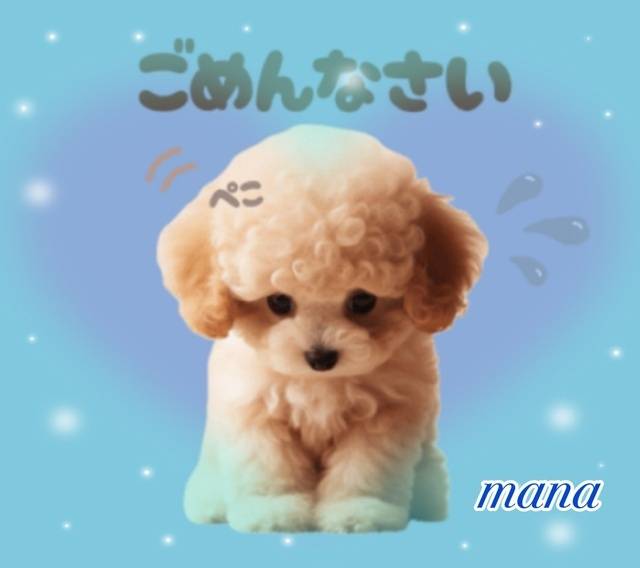 申し訳ありません🙇‍♀️