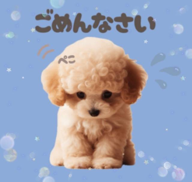 ごめんなさい🙇‍♀️