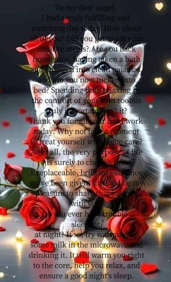 🩷✨🎀休日日記🌹✨🩷