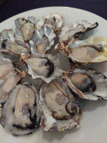 広島の生牡蠣専門店🦪