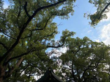 神社参拝⛩️