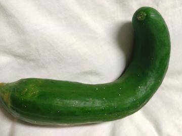 ご立派な🥒