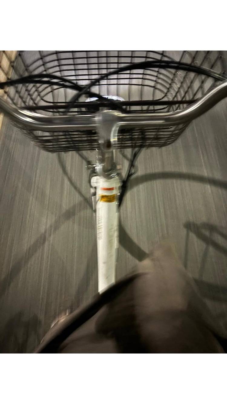 自転車🚲