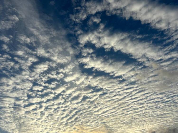 朝の雲☁️