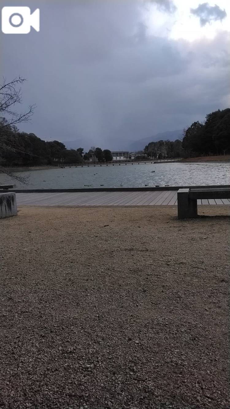 今年初雪。橿原神宮家の近所（笑）