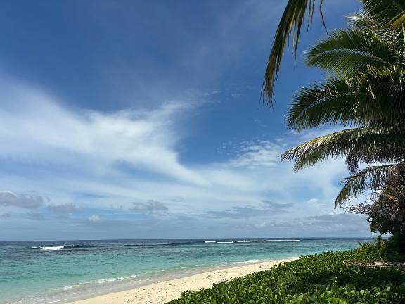 南の島🏝️